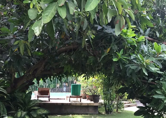 Raja Gardens Seminyak